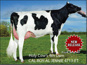 CAL-ROY-AL JENNIE 4713-ET
